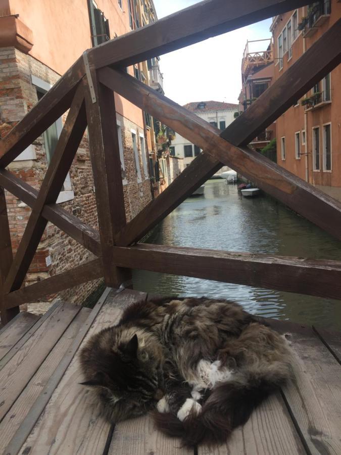 Tintoretto 4, 3 Grandi Camere Da Letto, 2 Bagni 威尼斯 外观 照片